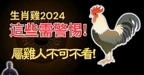 生肖雞顏色|2024年運勢大揭秘：生肖雞的幸運數字、顏色和貴人你都知道。